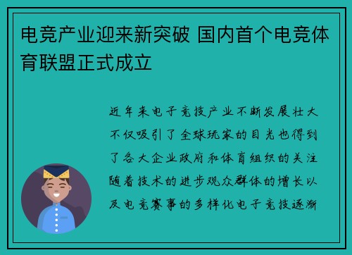 电竞产业迎来新突破 国内首个电竞体育联盟正式成立