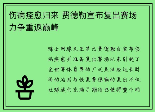 伤病痊愈归来 费德勒宣布复出赛场 力争重返巅峰